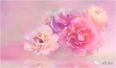 东升国际官网-追求康健,你我一起生长