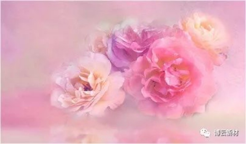 东升国际官网-追求康健,你我一起生长